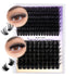 eyelash extensions volume lashes